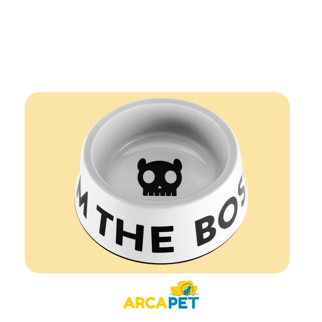 Plato Zee Bowl The Boss L Blanco