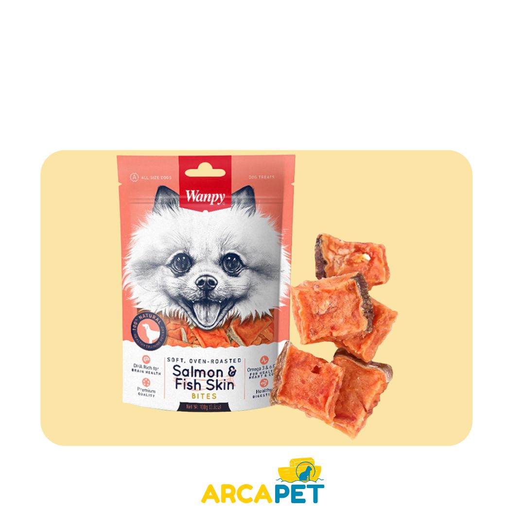 Wanpy Salmon 100Gr