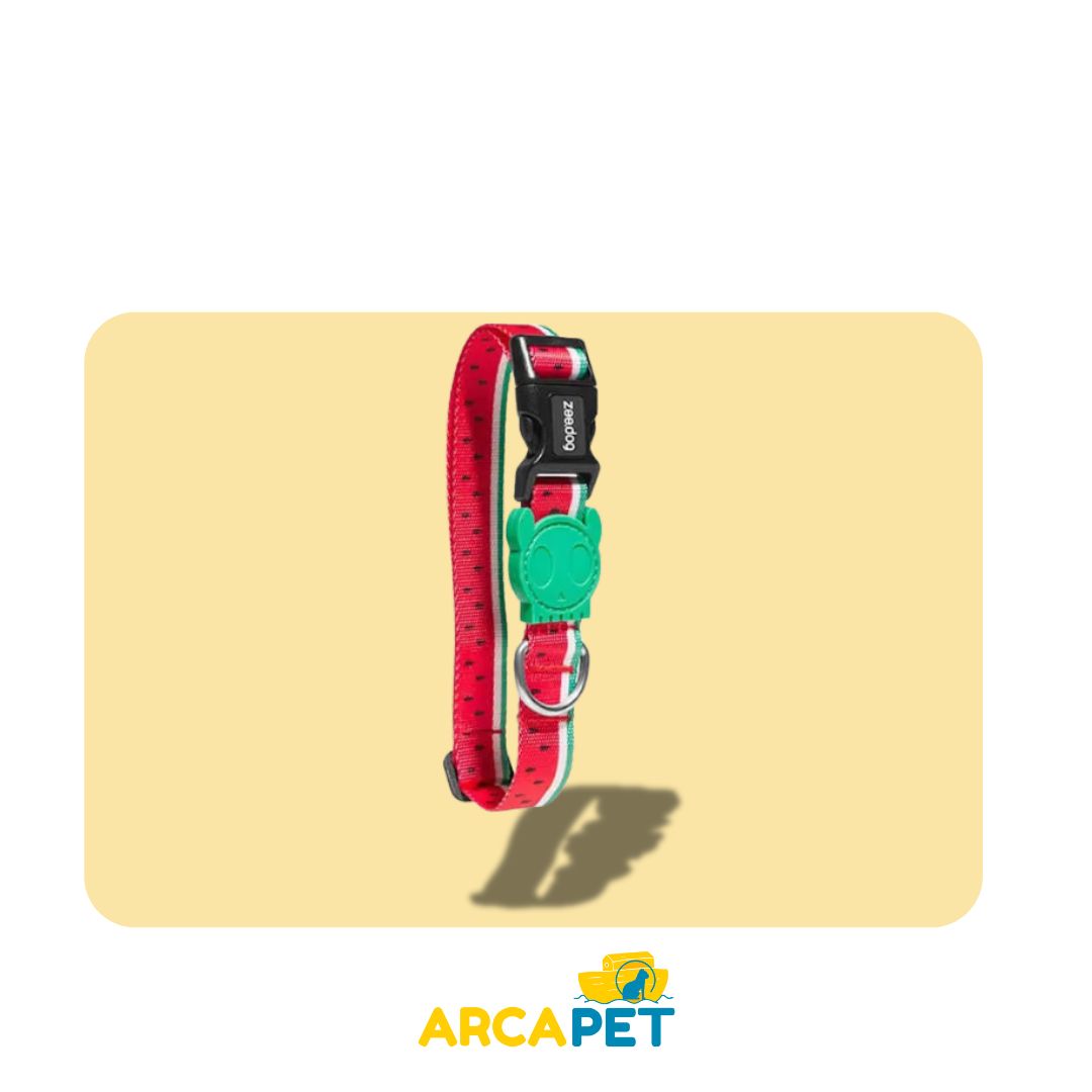 Zee Dog Lola Collar M