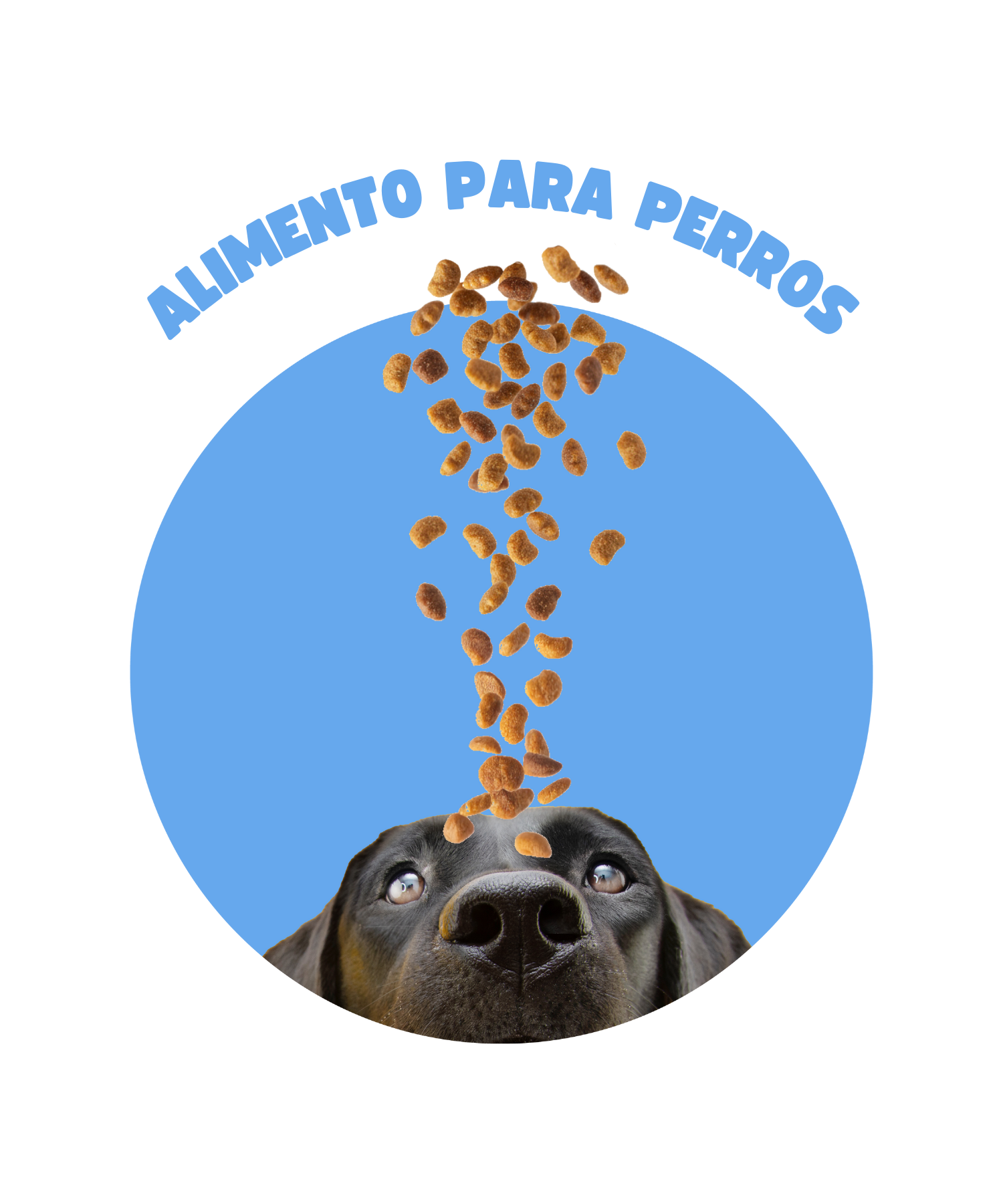 Alimento para Perros