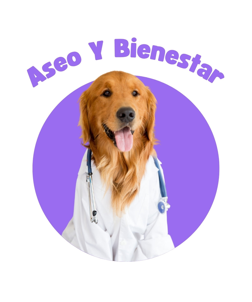 Aseo Y Bienestar