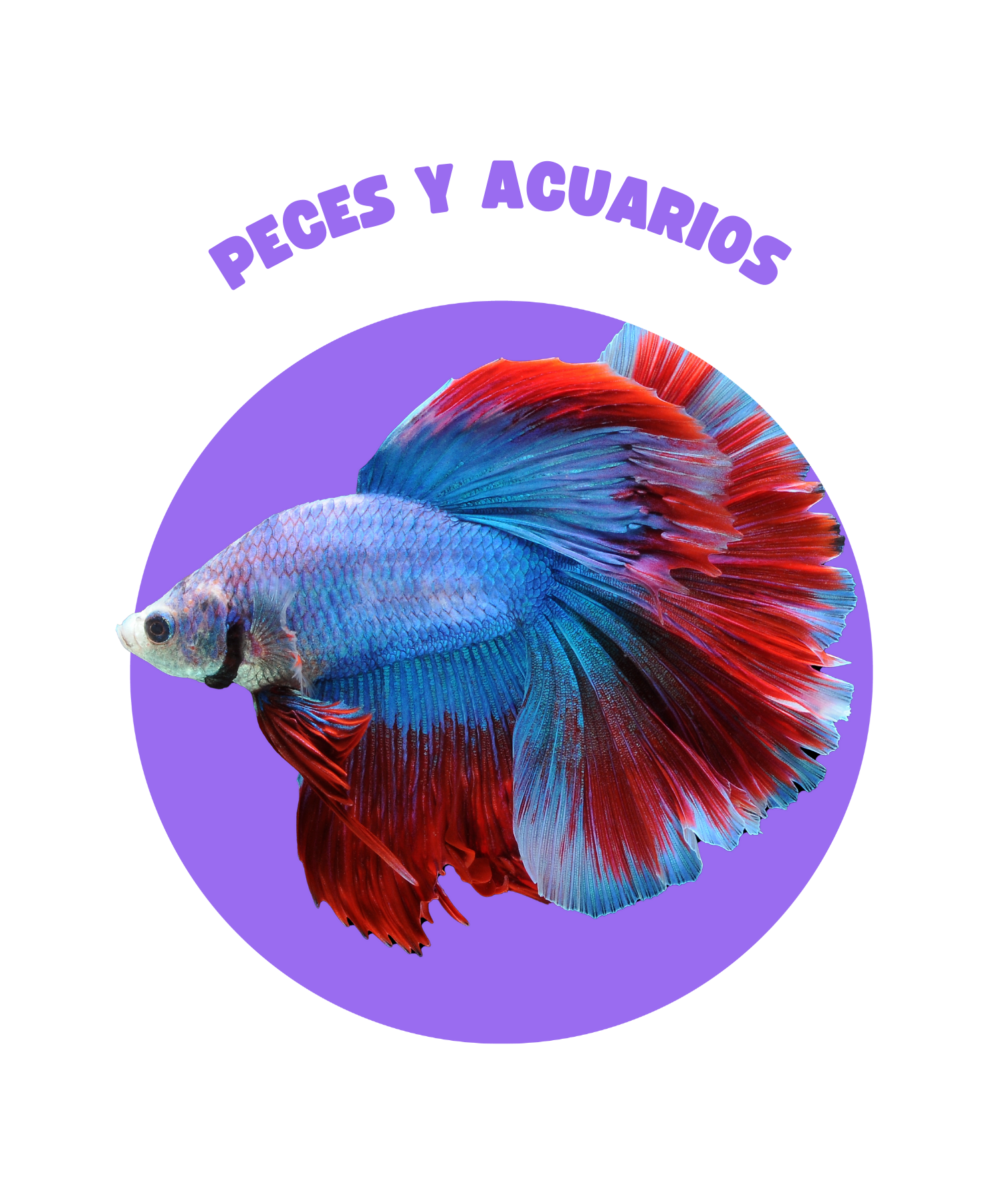 Peces y Acuarios