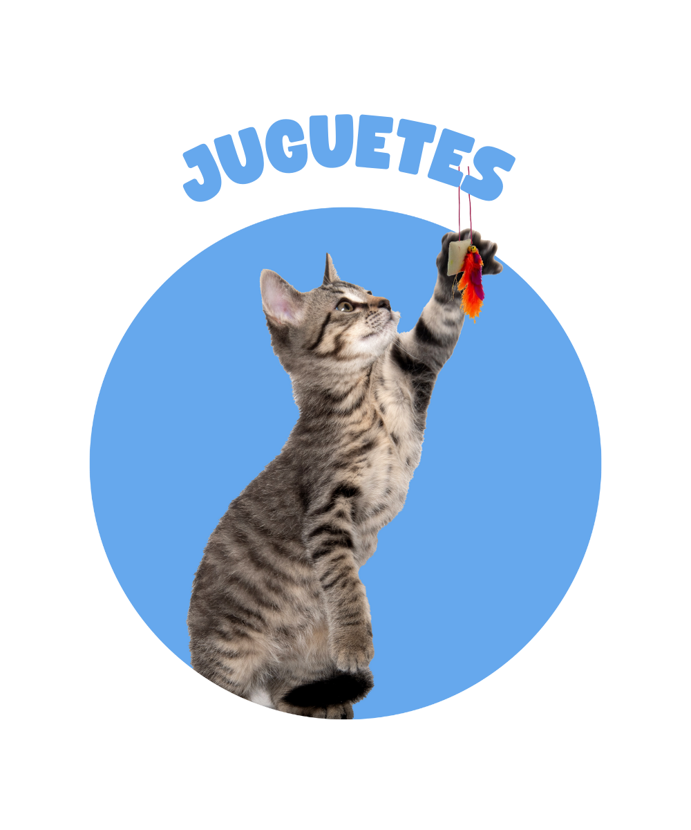 Juguetes