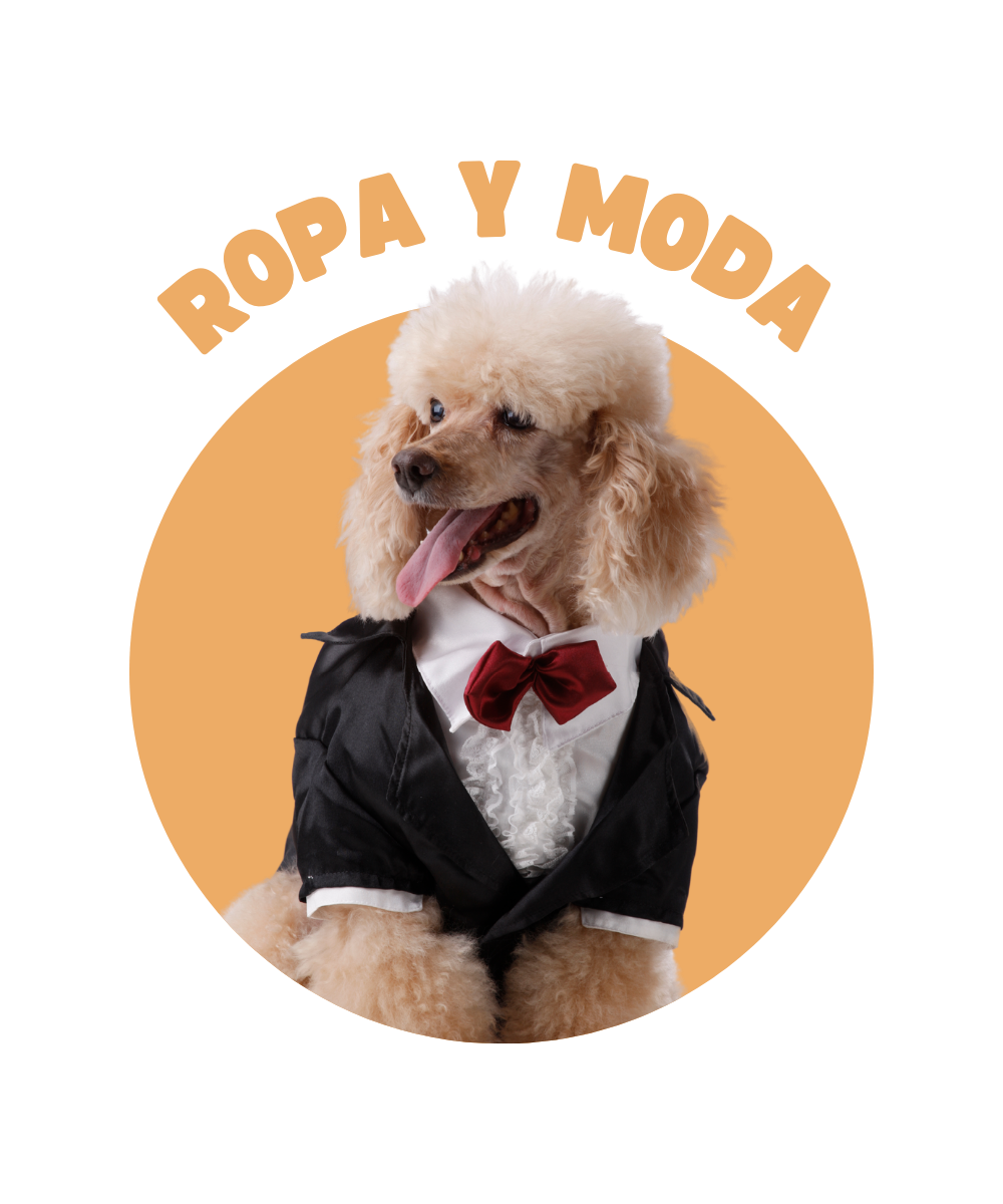 Ropa y Moda