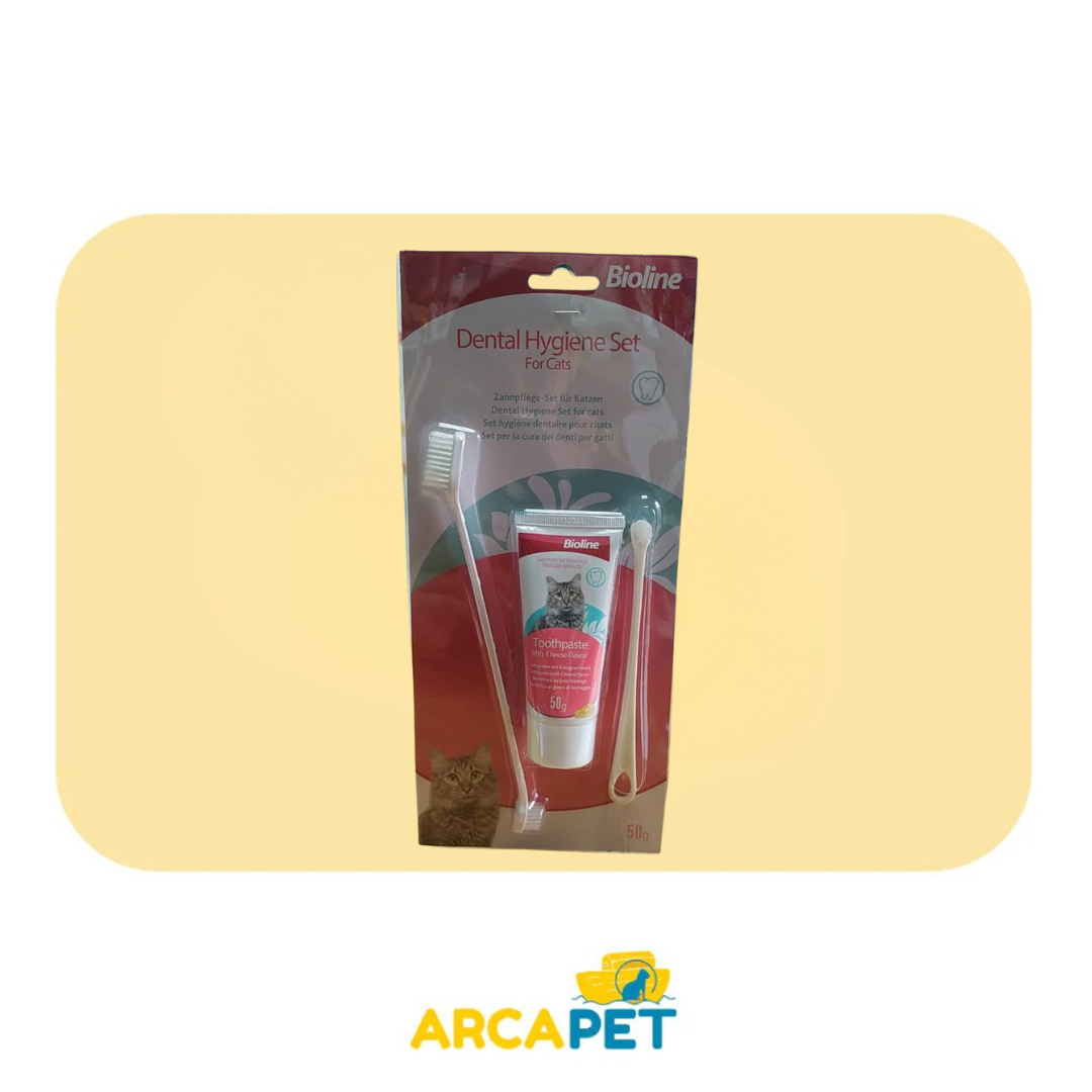Set Higiene Dental Gato