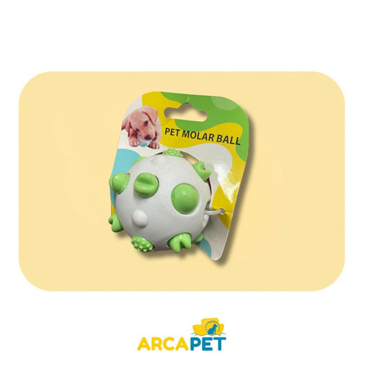 Pelota molar