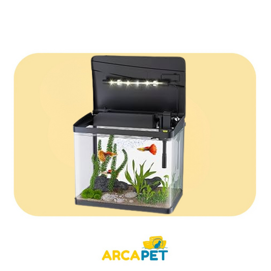 Acuario Negro Tropical
