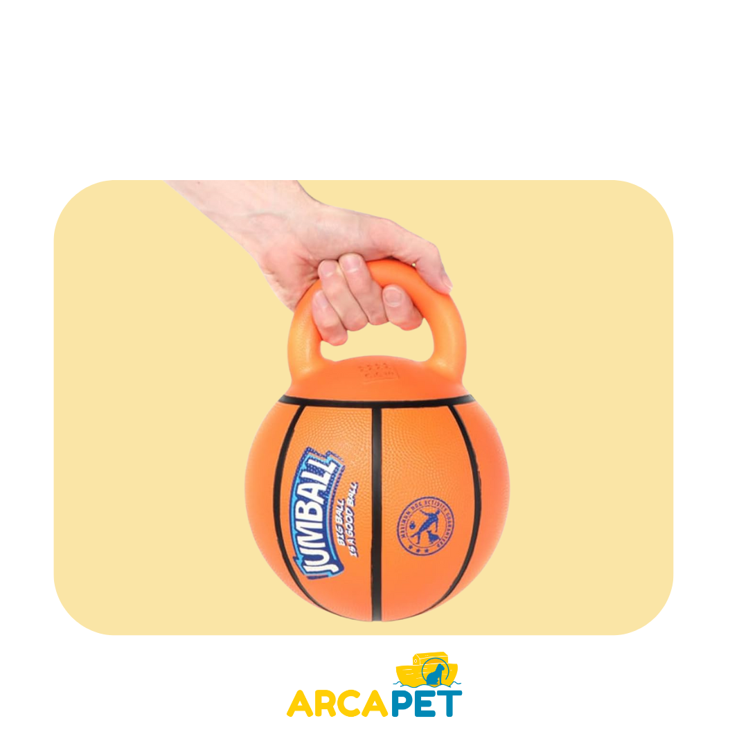 Pelota De Basketball Con Mango Gigwi