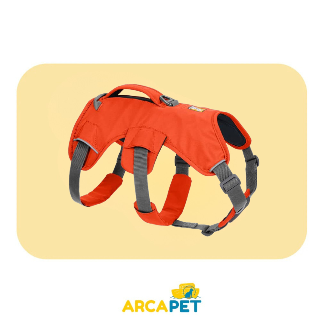 Harness Ruffwear Web Master Blaze Orange Talla M