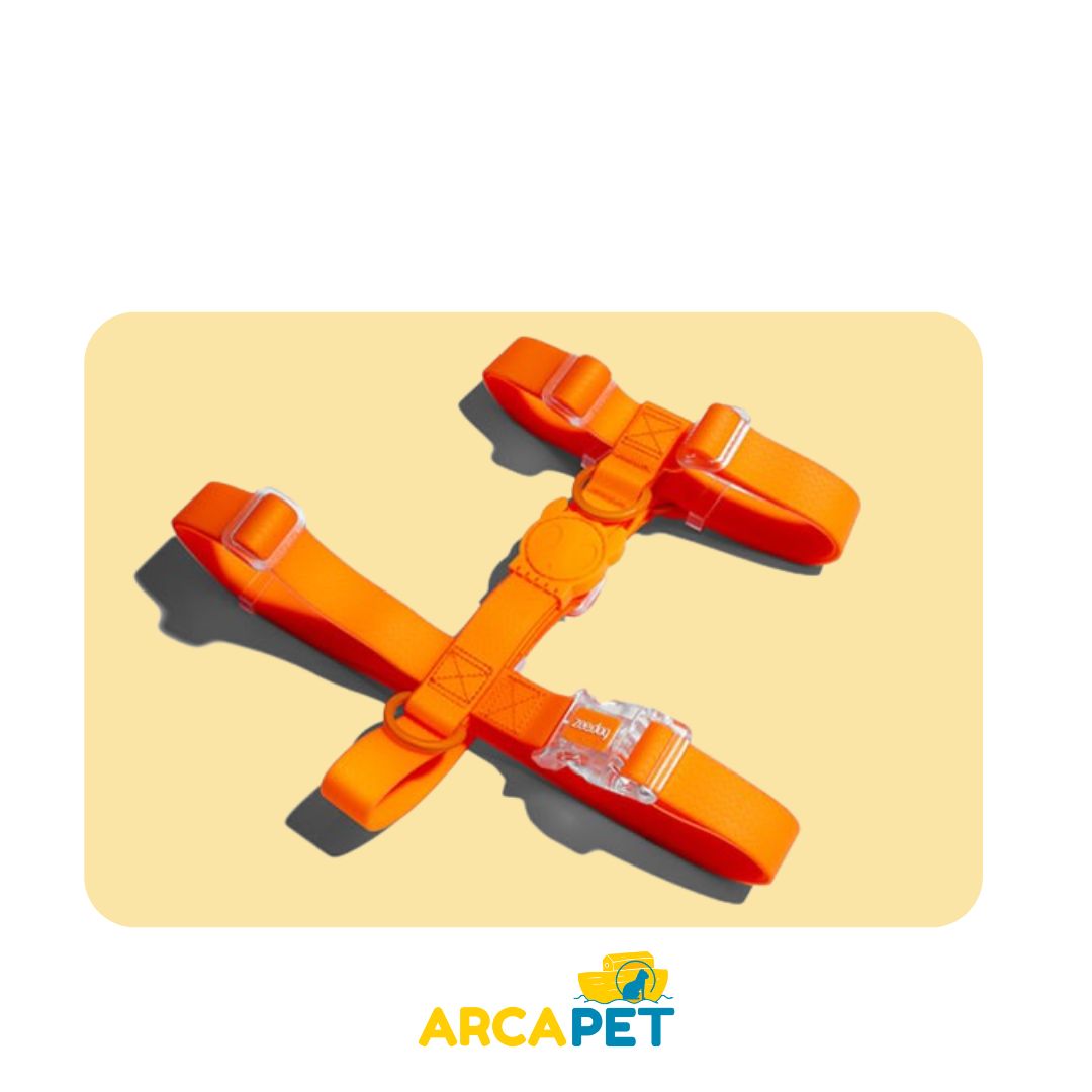 Zee Dog Arnes H Neopro S