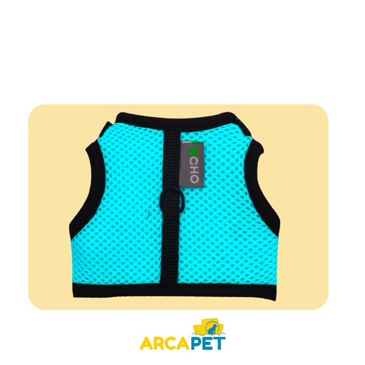 Arnes Xcho Talla M