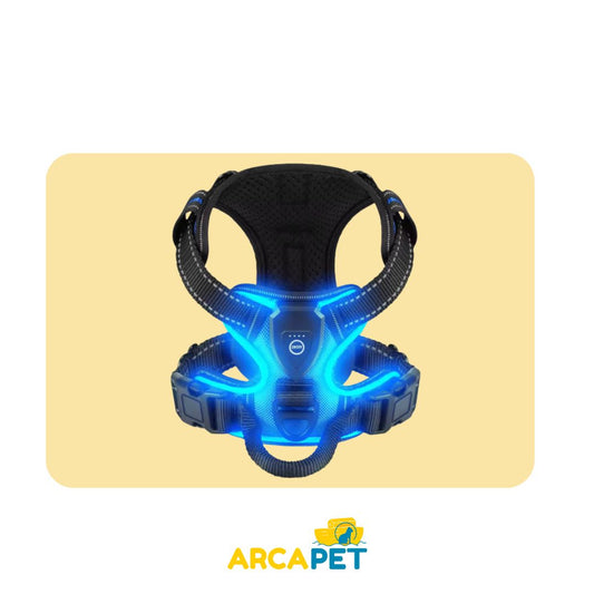 Arnes Con Luz Talla M GRIS