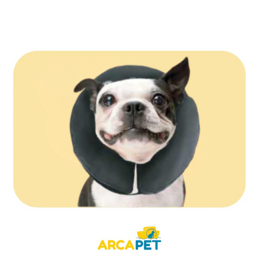 Collar Isabelino Inflable Talla M