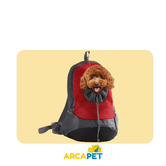 Mochila Transportadora Orificio Frontal