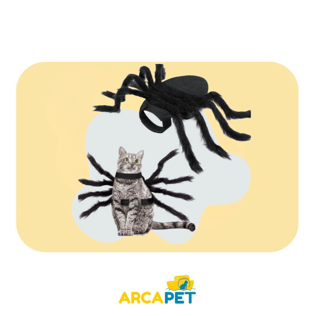 Disfraz araña para gato