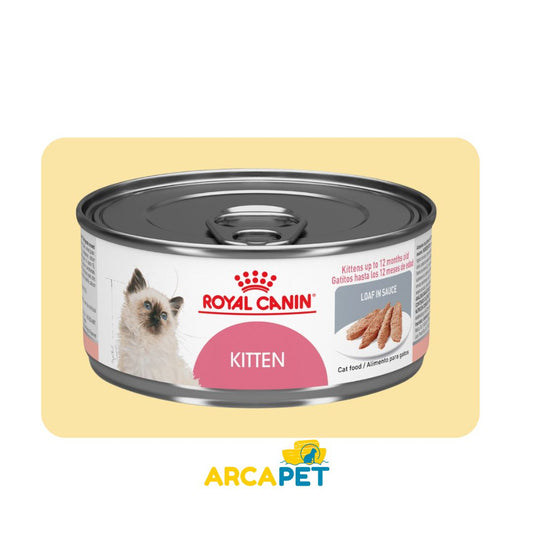 Lata Royal Canin Kitten 145g