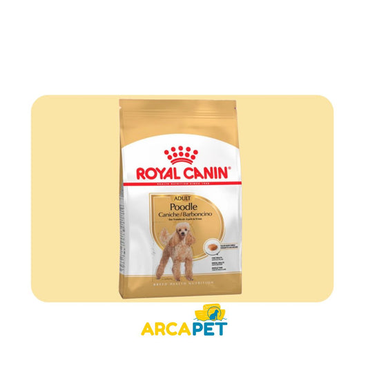 Royal Canin Poodle Caniche 3 kg