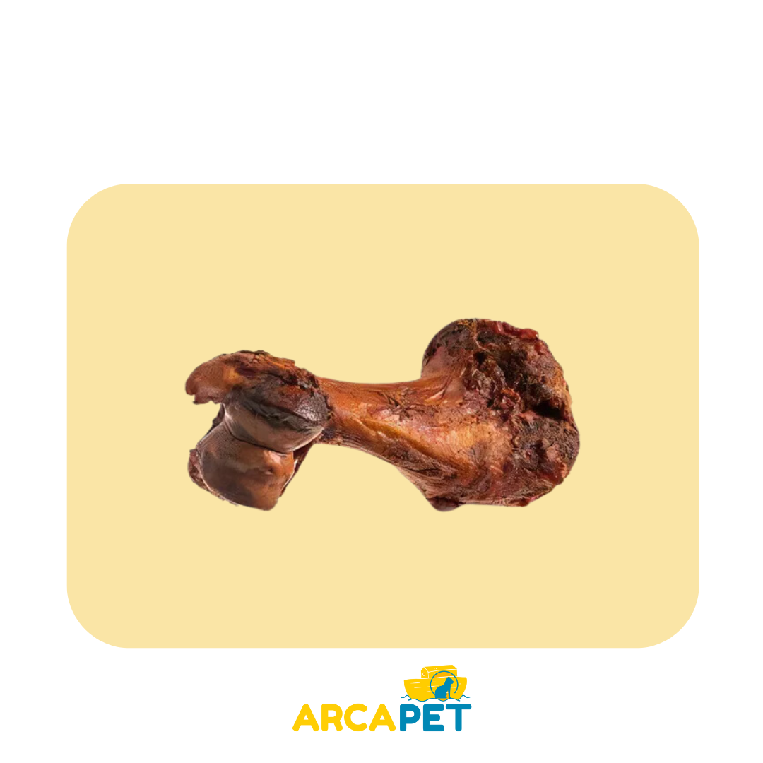 Hueso Femur De Vacuno Doble