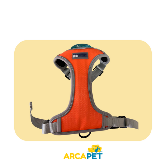 Arnes Mundo Mascota talla M