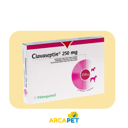Clavaseptin 250 mg. 10 comprimidos