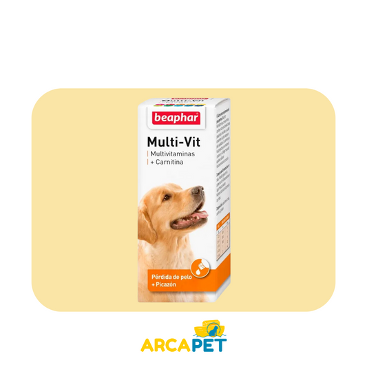 Laveta + Carnitina Perros 50 ml