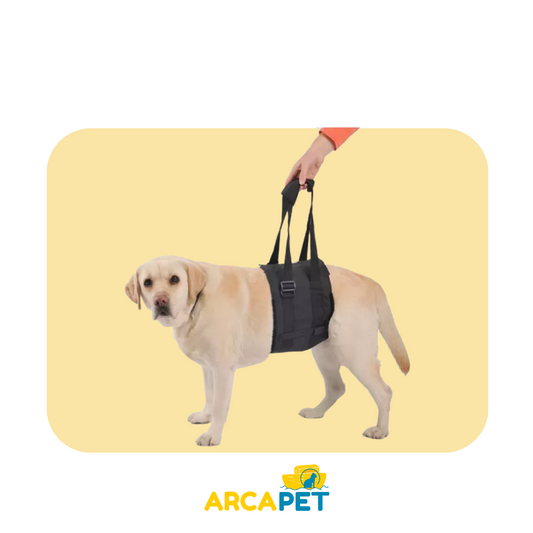Arnes Post Operatorio DogLift talla M