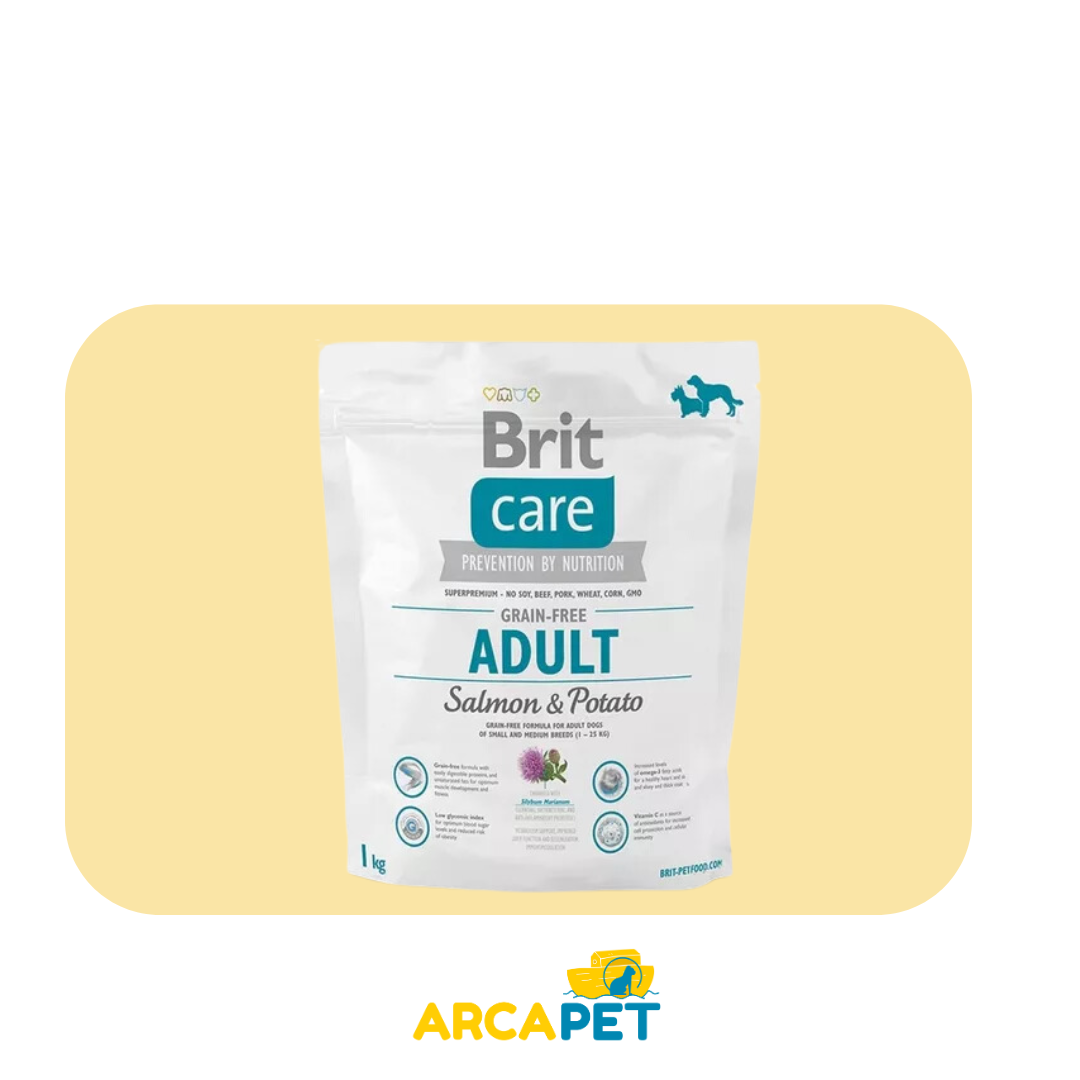 Brit Care Grain Free Adult Salmon & Potato 1 KG