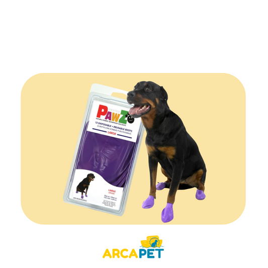Zapatos Pawz Bota Morado Talla L