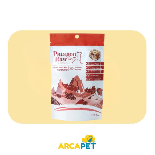 Patagon Raw Canino Salmon Austral 40g
