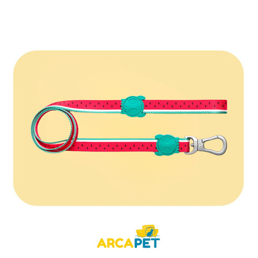 Zeedog Correa Lola Large