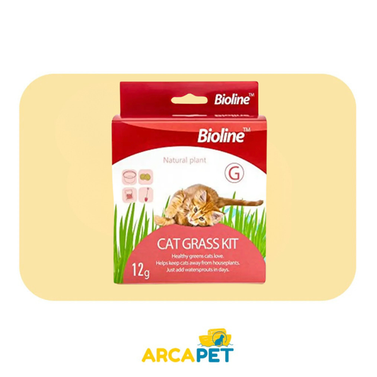 Semilla Hierba Gatera 12g