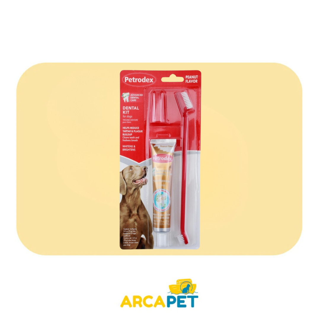 Set Dental Petrodex 70gr