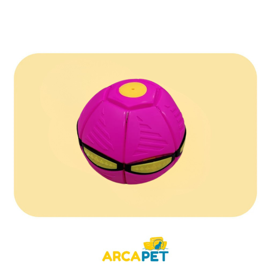 Pelota Disco