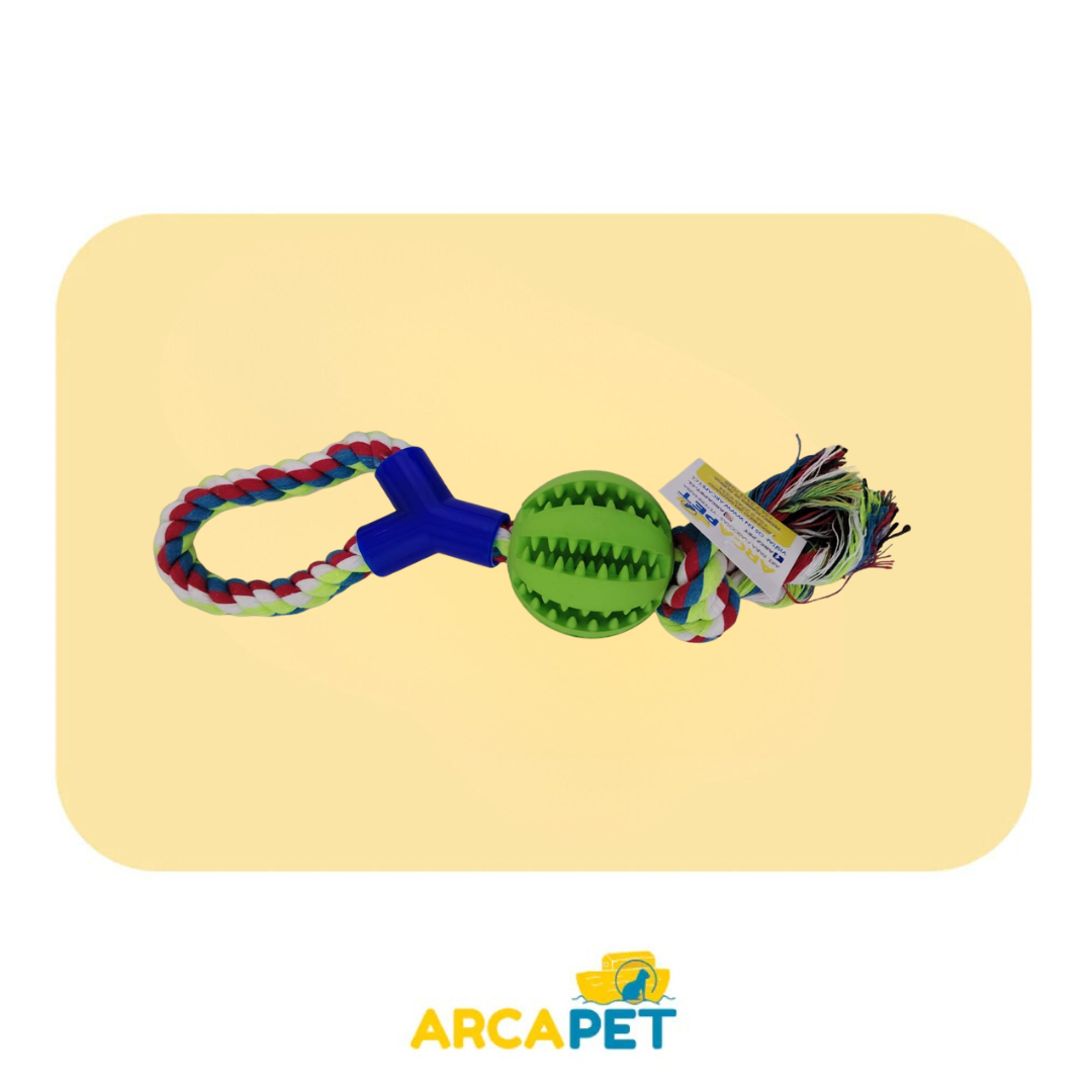 Pelota Dental