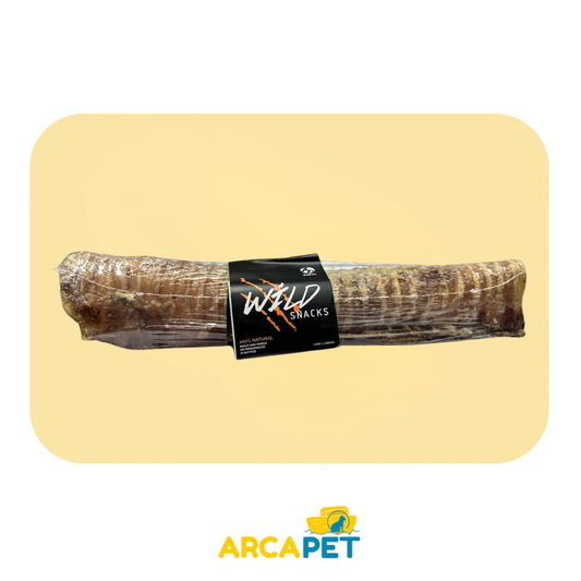 Wild Snack Traquea Larga 30 cm