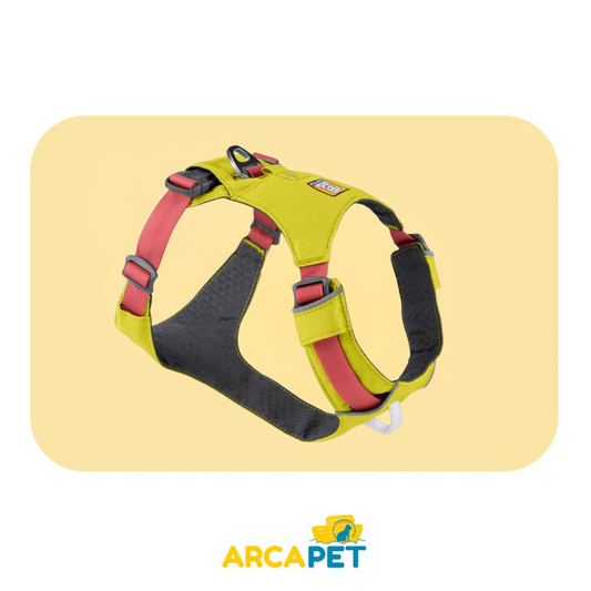 Harness Ruffwear LICHEN GREEN M