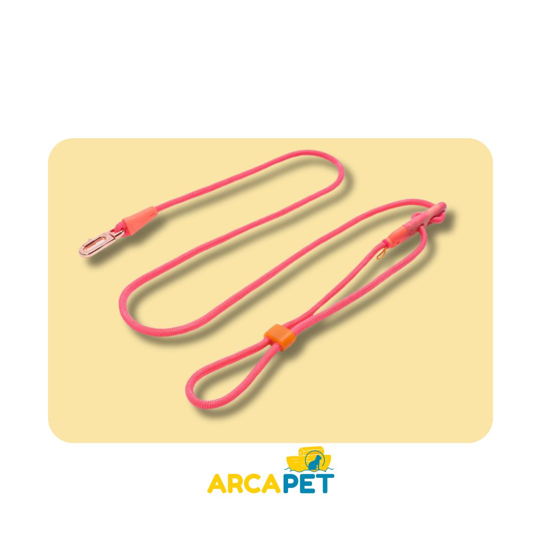 Zeedog Gazelle Handsfree Leash
