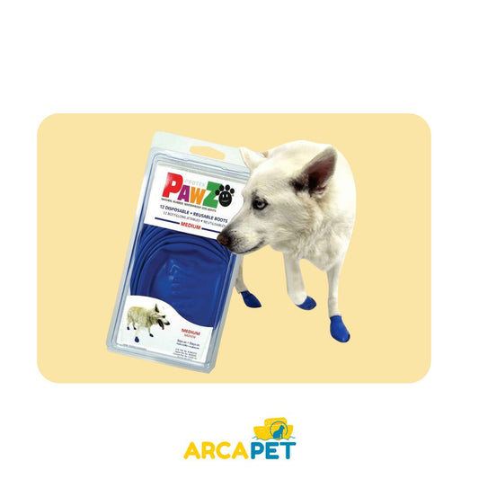 Zapatos Pawz Bota Azul Talla M