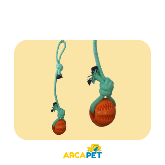 Pelota Tenis y Cuerda