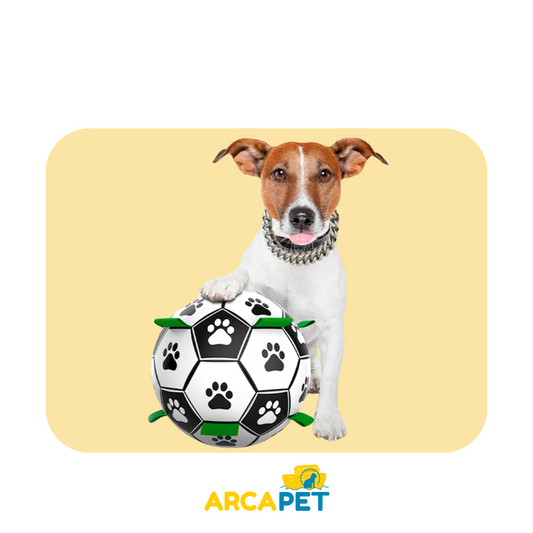 Pelota Futbol Turbo Dog