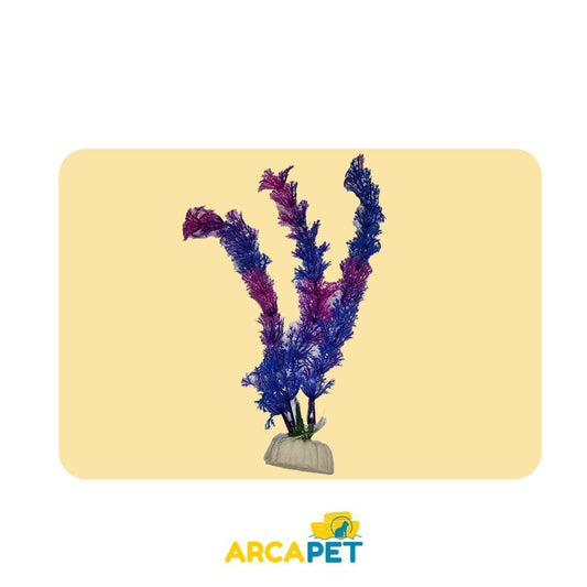 Plantas Decorativas Acuarios