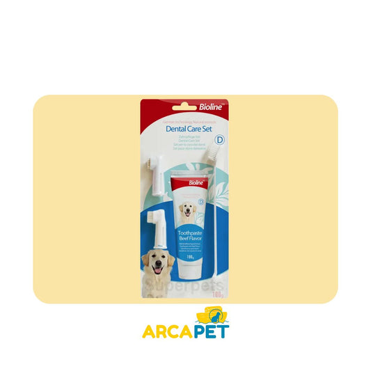 Set Higiene Dental